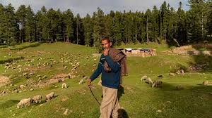 जम्मू-कश्मीर प्रशासन ने औद्योगिक संपदाओं के लिए भूमि हस्तांतरण के प्रस्तावों को दी मंजूरी